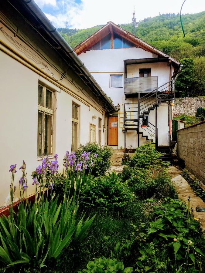 Downtown Hostel Брашов Екстериор снимка